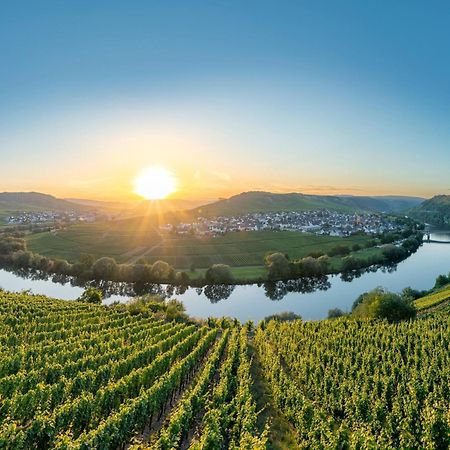 Holiday Home In The Eifel-Mosel With Garden Roes Extérieur photo